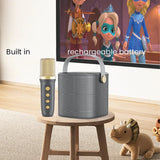 Smartbarry Portable Karaoke Speaker With Microphone YS-101