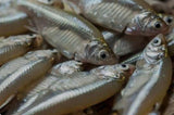Sea King Frozen Fresh Water Fish (Anchovy Mola Carplet) - 250g