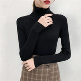 High Neck T-Shirt Free Size - DY758 - Pinoyhyper