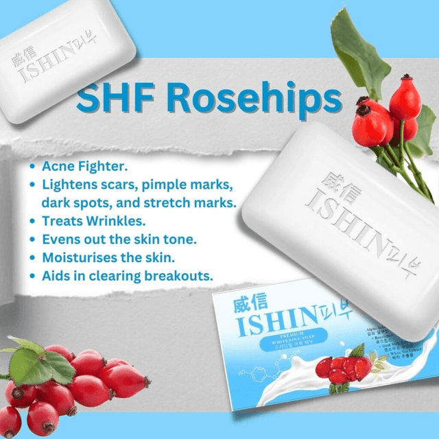 Ishin Premium Whitening Soap - Pinoyhyper