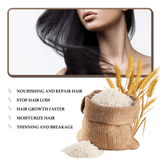 Jaysuing Anti Hair Loss & Hair Growth Shampoo - 100ml - Pinoyhyper