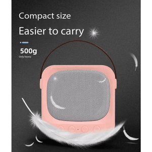 Karaoke Portable BT Speaker With Microphone SD-503 - Pinoyhyper