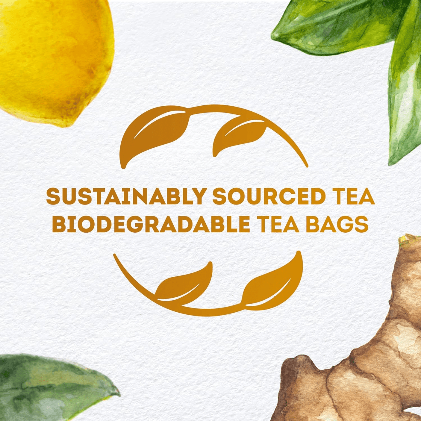 Lipton Herbal Infusion Tea Lemon Ginger - 20 Teabags - Pinoyhyper