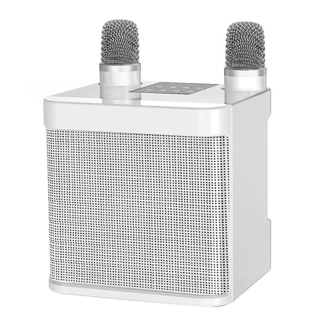 Long Duration Portable Speaker Karaoke YS-203 - Pinoyhyper