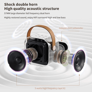 Multifunction Portable Karaoke Speaker (Double Mic) - K12 - Pinoyhyper