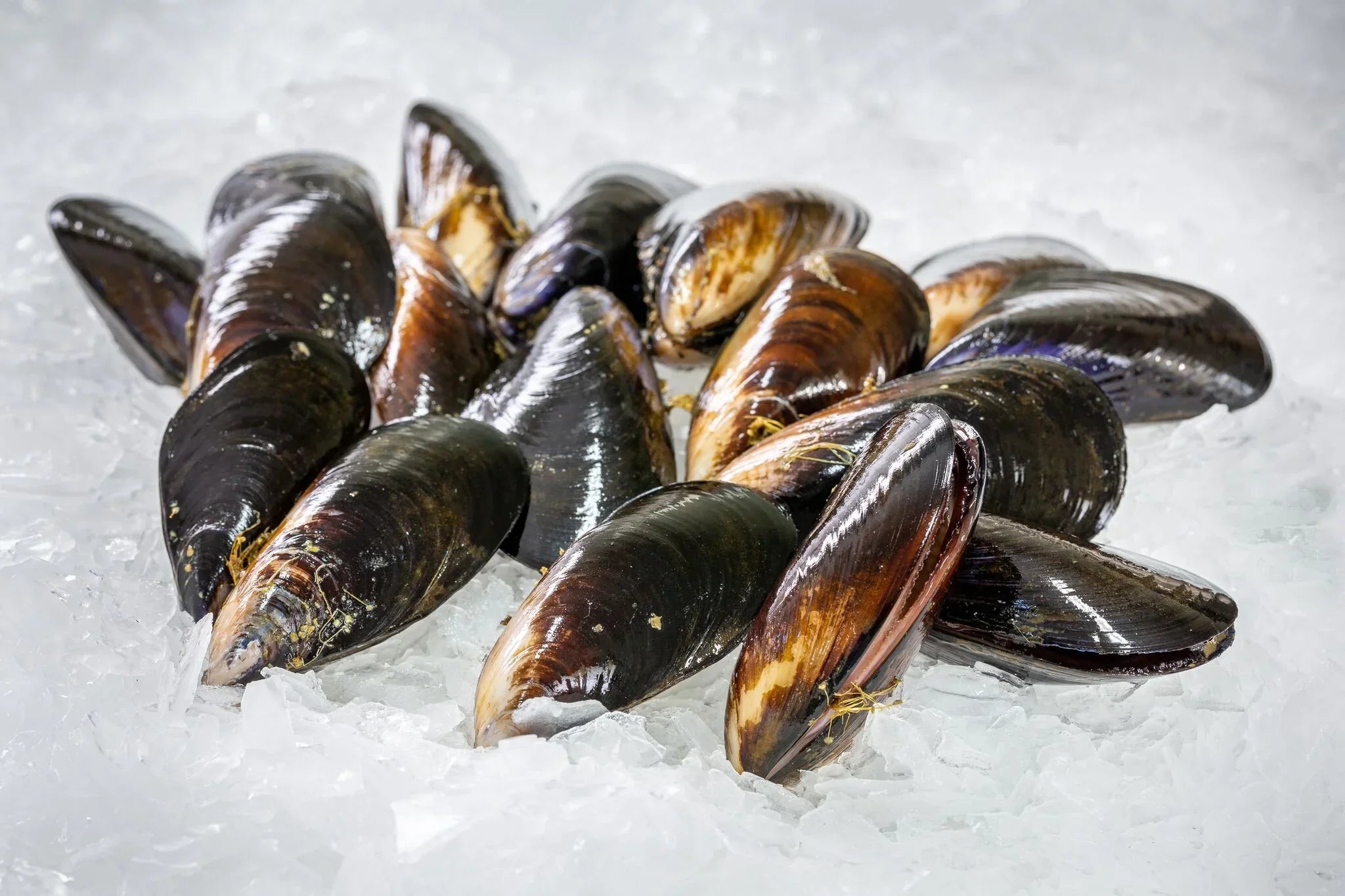 Natural Mussels - 1Kg (Frozen)