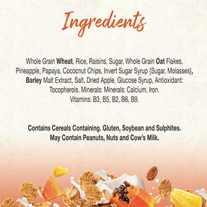 Nestle Fitness Fruits Morning Breakfast Cereal - 375g - Pinoyhyper