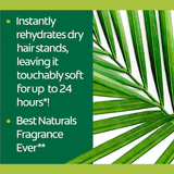 Palmolive Naturals Ultra Smooth Aloe Vera Shampoo & Conditioner - 180ml - Pinoyhyper