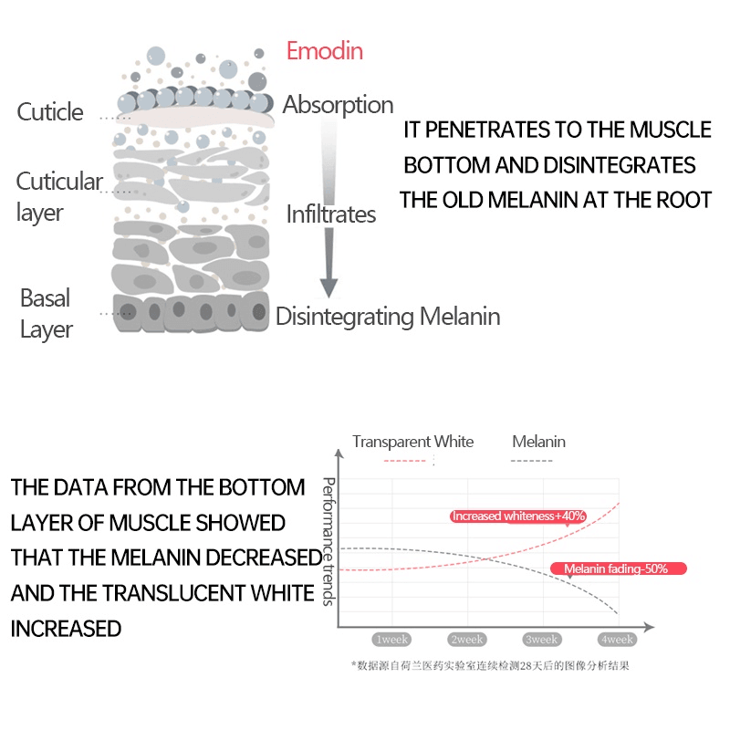 Pei Mei Pink Essence For Lips,Areolas & Private Parts - 30g - Pinoyhyper