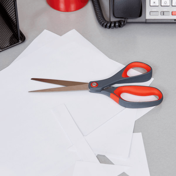 Pointed Tip Precision Scissors (21cm) - 1 Pcs – Pinoyhyper