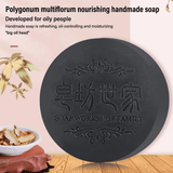 Polygonum Hair Darkening Shampoo Bar - Pinoyhyper
