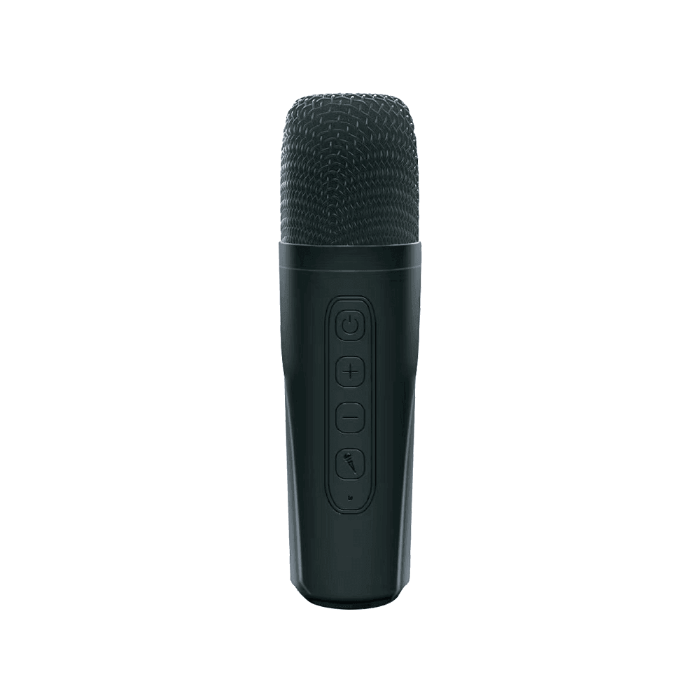 Portable Karaoke Bluetooth Speaker With Microphone - Willen RGB - Pinoyhyper