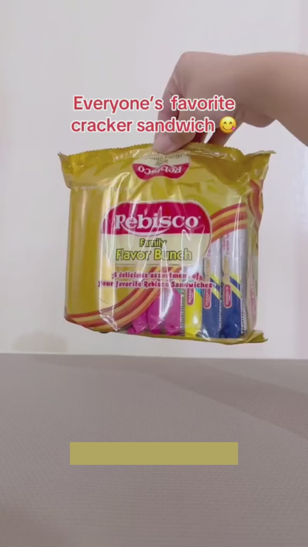 Rebisco Family Flavor Bunch Assorted Cracker - 318g