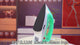 RAF 1800W Electric Steam Iron Box R.1106P