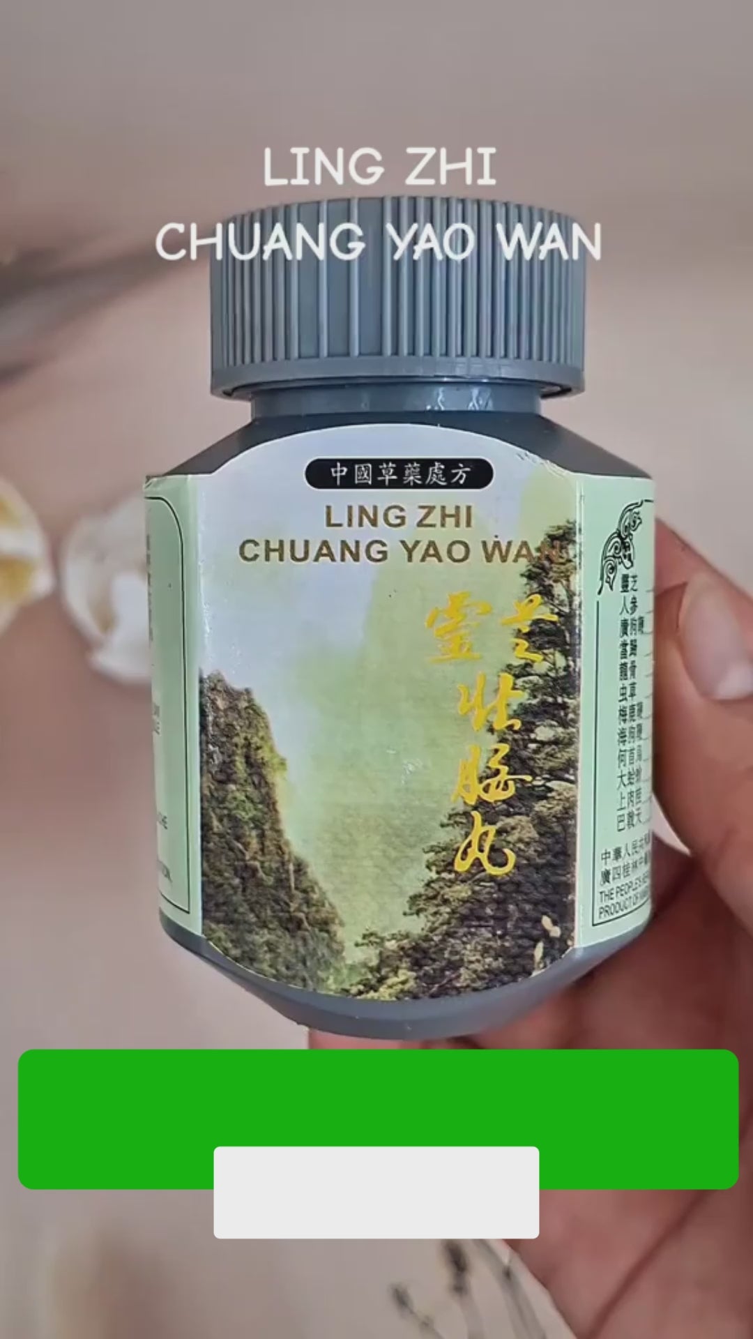 Ling Zhi Chuang Yao Wan