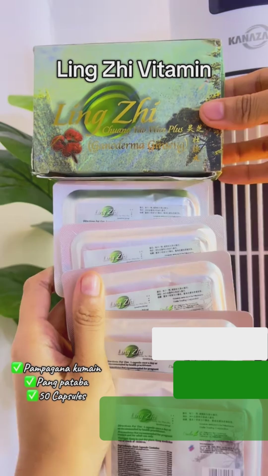Ling Zhi Chuang Yao Wan Plus (Ganoderma Ginseng)