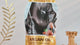 Kormesic Professional Argan Oil Keratin Hair Mask - 350g