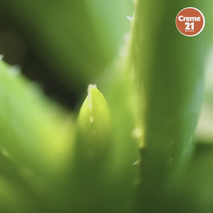 Creme 21 Moisturizing 95% Aloe Vera Gel - 300ml