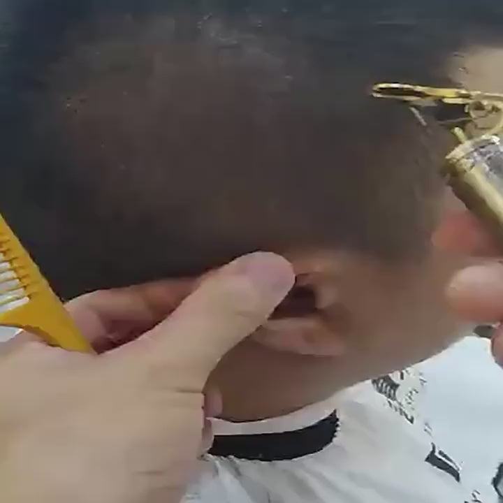 Professional Hair Clipper LT-J01