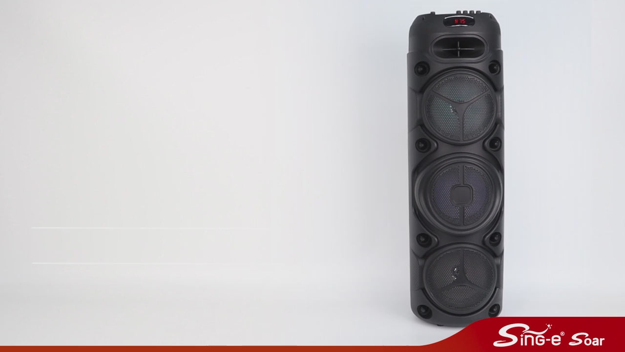 Sing-e Multimedia 8 Inch Party Super Bass Speaker - ZQS8308