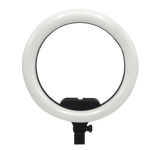 Ring Light Supplementary Lamp With Remote Control AL-33 - Pinoyhyper