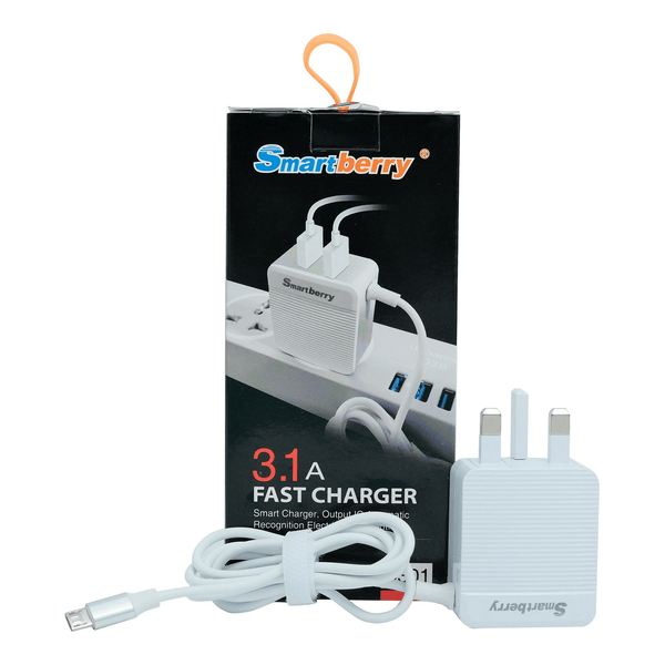 Smart Berry 3.1A Fast Charger With 2 USB Port - C301 - Pinoyhyper