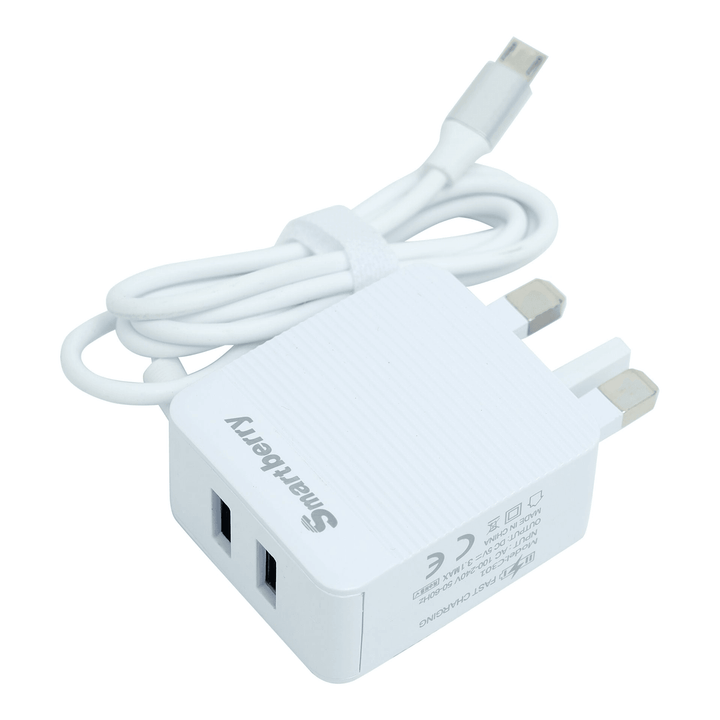Smart Berry 3.1A Fast Charger With 2 USB Port - C301 - Pinoyhyper