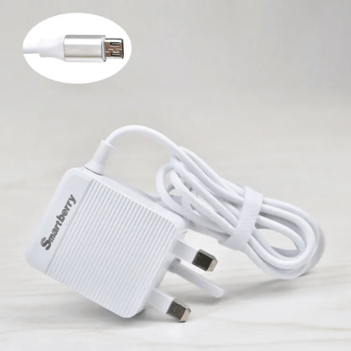 Smart Berry 3.1A Fast Charger With 2 USB Port - C301 - Pinoyhyper