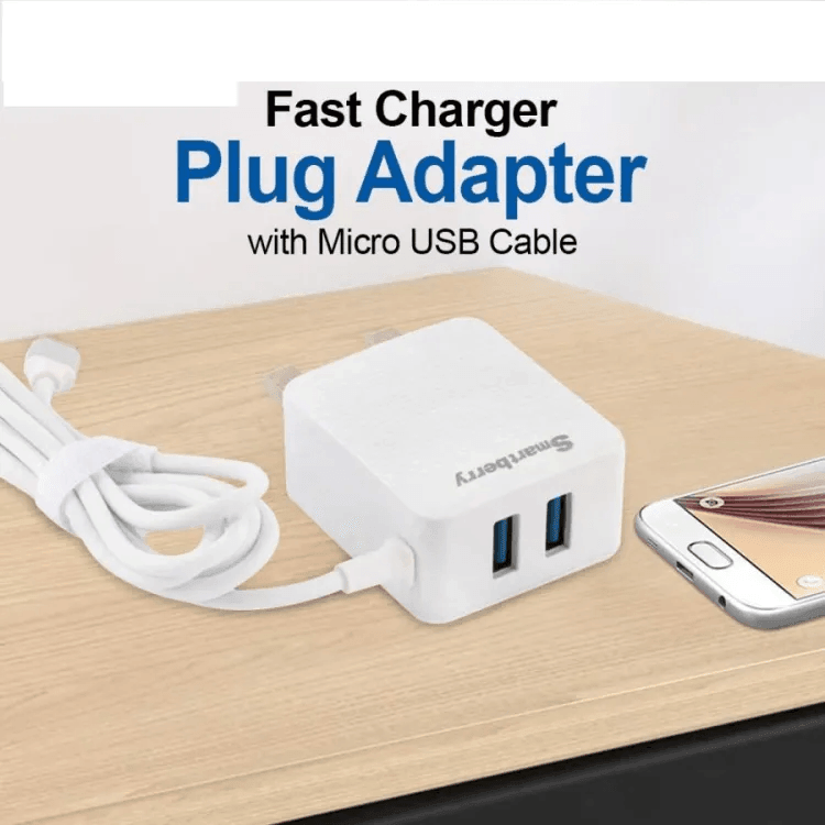 Smart Berry 3.1A Fast Charger With 2 USB Port - C301 - Pinoyhyper
