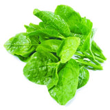 Alugbati (Spinach) - Bunch