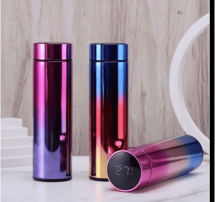 Stainless Steel Smart Bottle With LED Temperature Display - Pinoyhyper