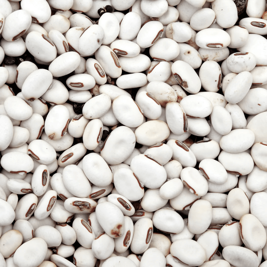 White Kidney Beans - 500g - Pinoyhyper