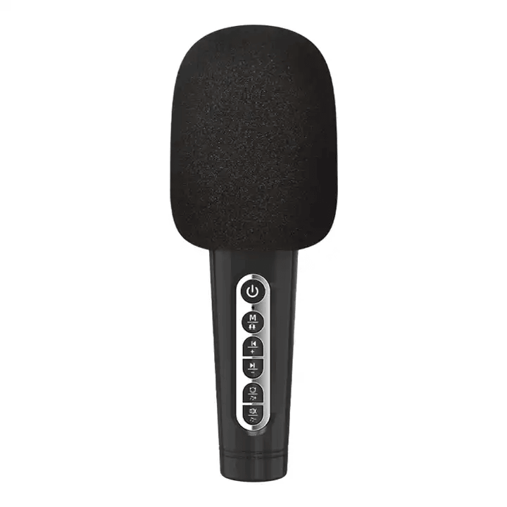 Wireless Bluetooth Karaoke Microphone Loud Speaker - C200 - Pinoyhyper