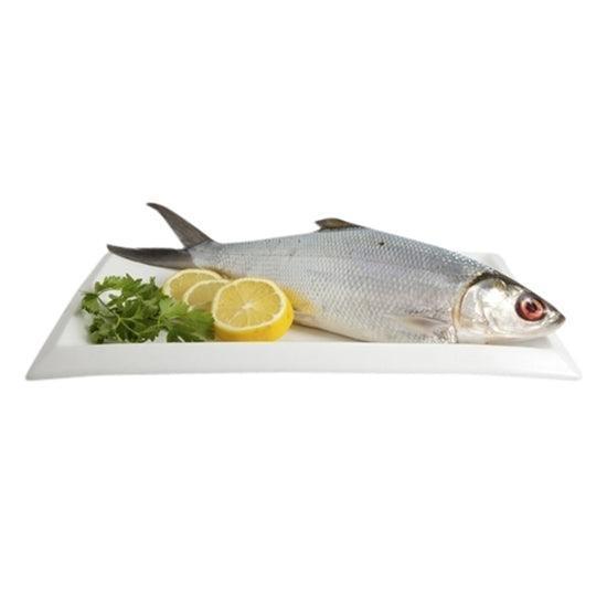 Bangus Milk Fish Big (Frozen) 700 to 900gm - Pinoyhyper