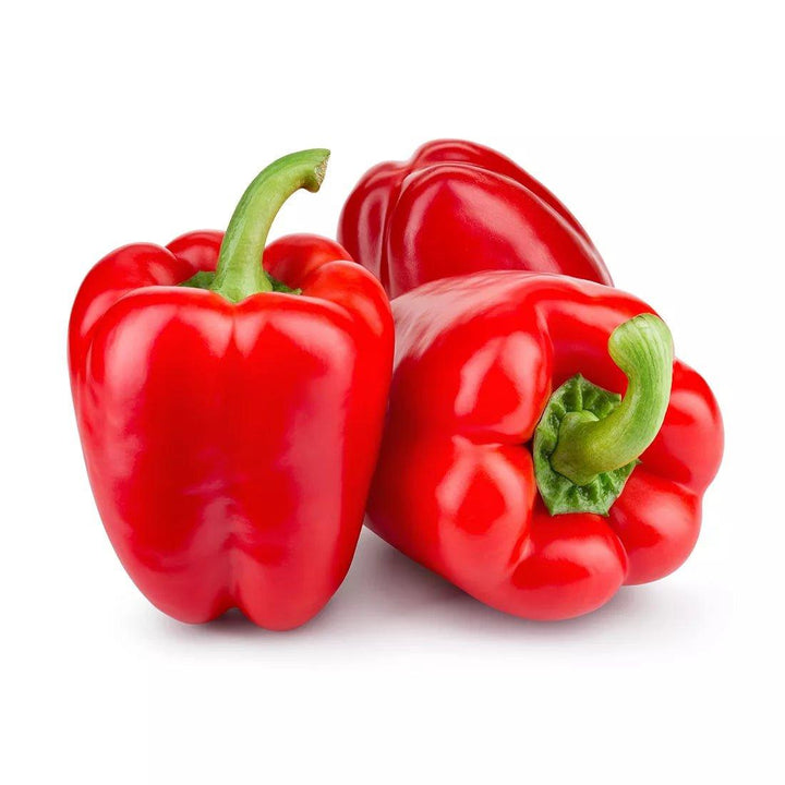 Bell Pepper (Capsicum Red) - 500G - Pinoyhyper