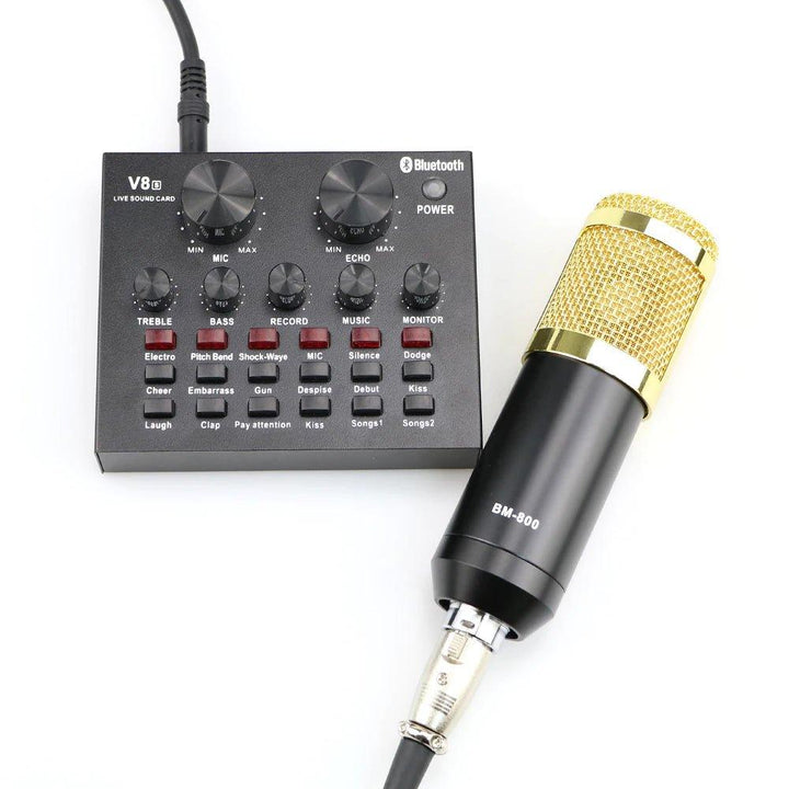 Condenser Microphone Professional stage Mic Set - Pinoyhyper