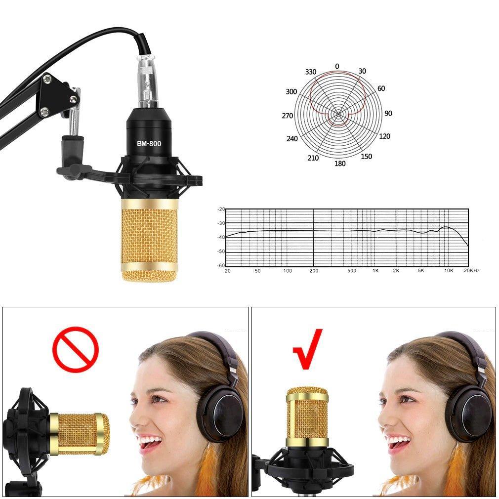 Condenser Microphone Professional stage Mic Set - Pinoyhyper