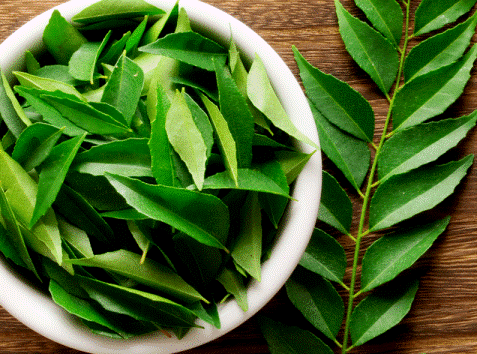 Curry Leaves - Indian - Pinoyhyper