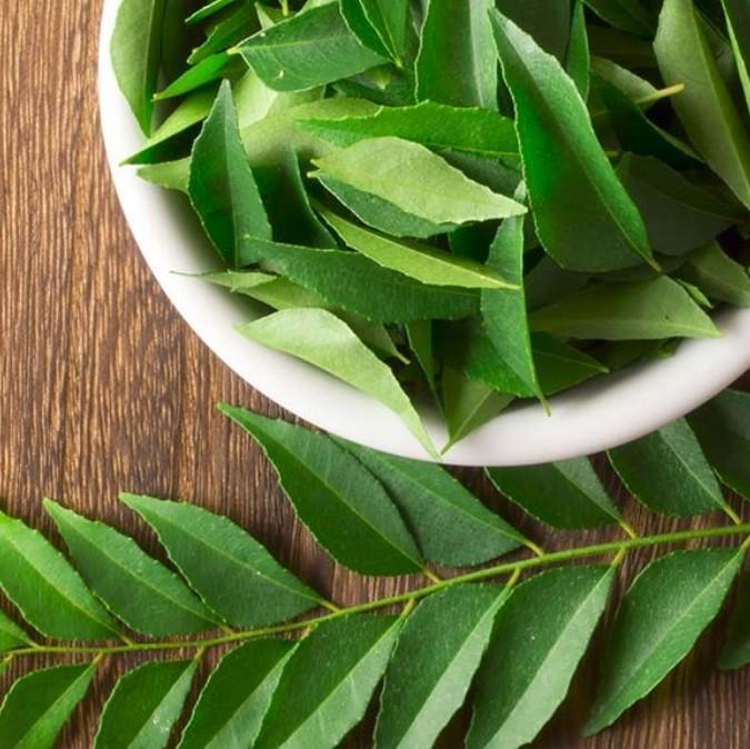 Curry Leaves - Indian - Pinoyhyper