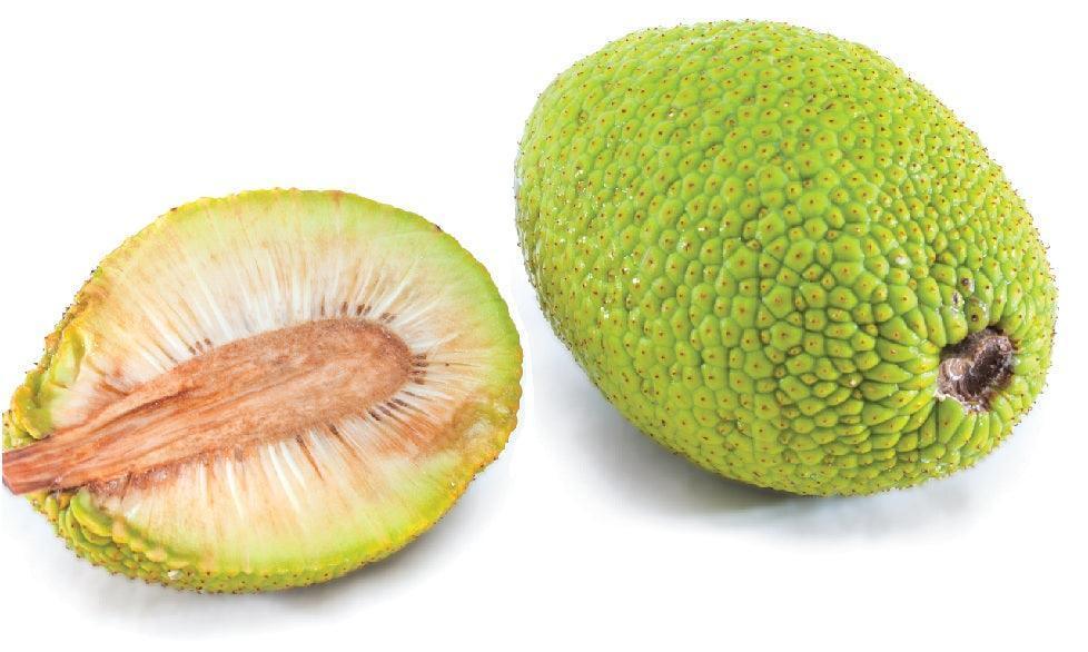 DEL (BREADFRUIT) - பலாக்காய் - 1 KG - Pinoyhyper