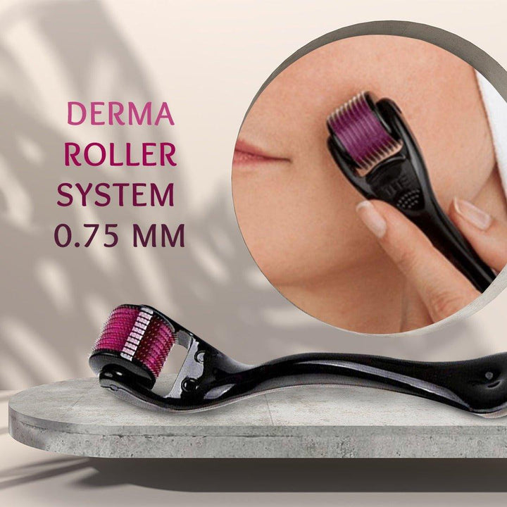 Derma Roller System DRS75 (0.75mm) - Pinoyhyper