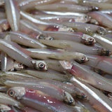 Dilles Fish 250g - Frozen - Pinoyhyper