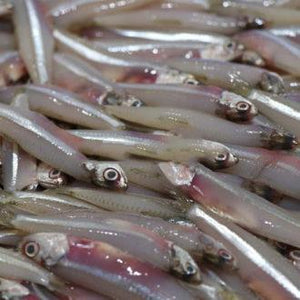 Dilles Fish 250g - Frozen - Pinoyhyper