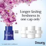 Downy Concentrate Fabric Softener Floral Breeze - 1L - Pinoyhyper