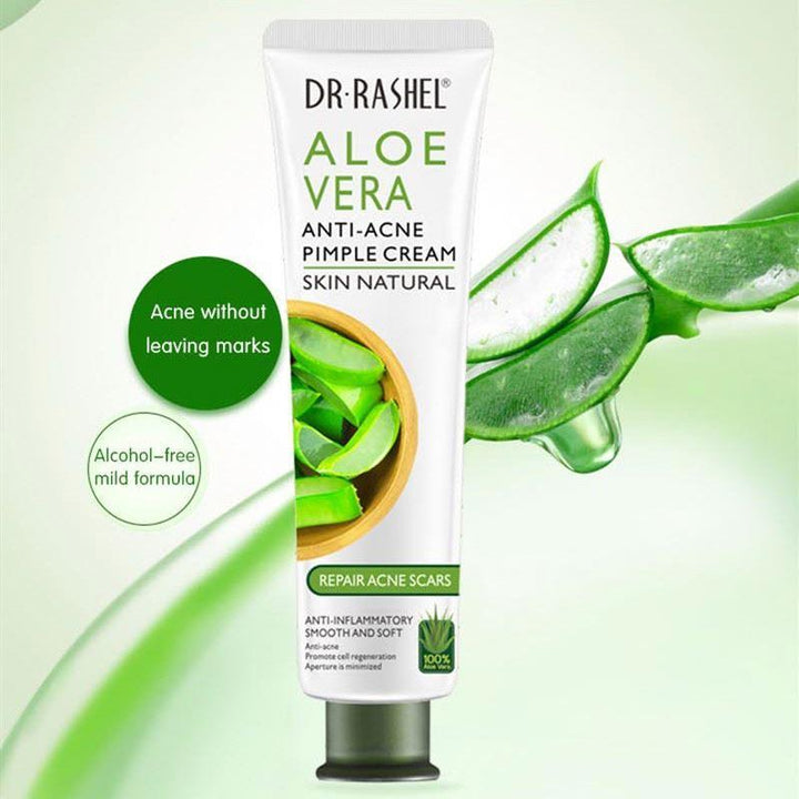 DR RASHEL Natural Skin Care Aloe Vera Anti Acne Pimple Facial Cream - Pinoyhyper
