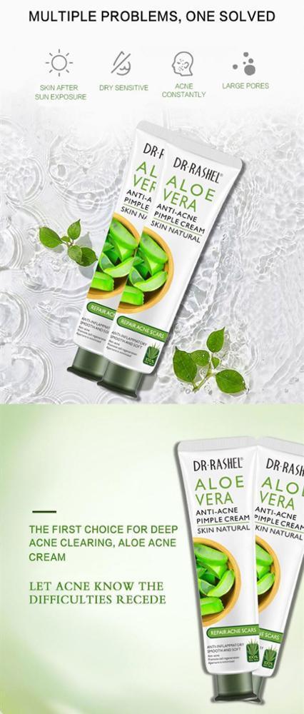 DR RASHEL Natural Skin Care Aloe Vera Anti Acne Pimple Facial Cream - Pinoyhyper