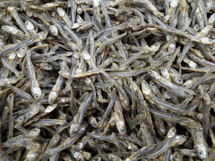 Dried Anchovies (Dilis) -100g - Pinoyhyper