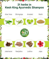 Kesh King Ayurvedic Shampoo 200ml + Boro Plus Antiseptic Cream Free - Pinoyhyper