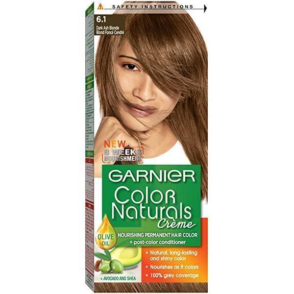 Garnier Color Naturals 6.1 Dark Ash Blonde Hair color - Pinoyhyper