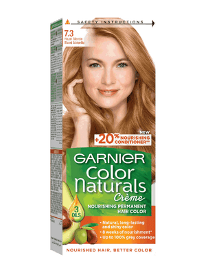 Garnier Color Naturals Creme 7.3 Hazel Blond - Pinoyhyper